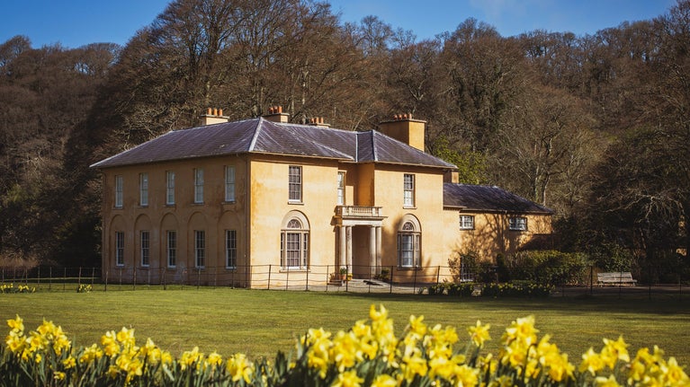Exterior of Llanerchaeron with daffodils in bloom, Ceredigion, Wales